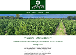 Hathaway Nursery tree farm | Coastal Mountain Creative Hathaway Nursery tree farm